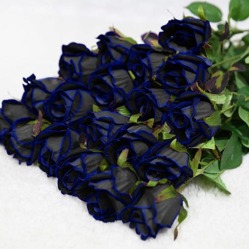 Midnight blue Rose