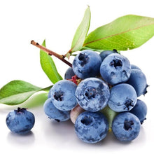 Load image into Gallery viewer, Dwarf Tree Fast